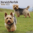 Image for Norwich/Norfolk Terrier 2023 Wall Calendar