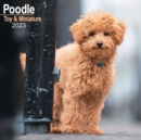 Image for Poodle (Toy &amp; Miniature) 2023 Wall Calendar