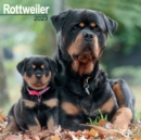 Image for Rottweiler 2023 Wall Calendar