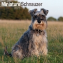 Image for Schnauzer Miniature 2023 Wall Calendar