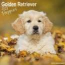 Image for Golden Retriever Puppies 2023 Wall Calendar