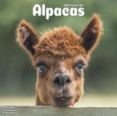 Image for Alpacas 2023 Wall Calendar