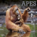 Image for Apes 2023 Wall Calendar