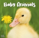 Image for Baby Animals 2023 Wall Calendar