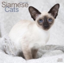 Image for Cats - Siamese 2023 Wall Calendar