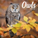 Image for Owls 2023 Wall Calendar