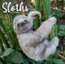 Image for Sloths 2023 Wall Calendar
