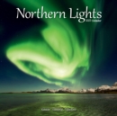 Image for Northern Lights 2023 Wall Calendar