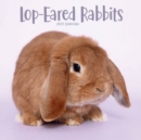 Image for Rabbits - Lop Eared 2023 Wall Calendar