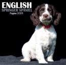 Image for English Springer Spaniel Puppies Mini Square Wall Calendar 2023