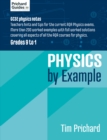 Image for Physics By Example