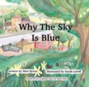 Image for Why the sky is blue