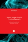 Image for Recent perspectives in pyrolysis research