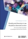 Image for Plurality and Diversity in Law : The Human Rights Paradigm