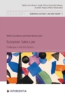 Image for European Sales Law : Challenges in the 21st Century