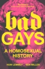 Image for Bad gays  : a homosexual history