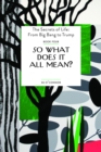 Image for So What Does It All Mean?
