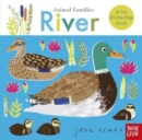 Image for River  : a fun lift-the-flap book