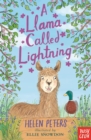 Image for A llama called Lightning