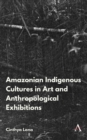 Image for Amazonian Indigenous Cultures in Art and Anthropological Exhibitions