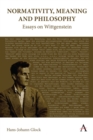 Image for Normativity, Meaning and Philosophy: Essays on Wittgenstein