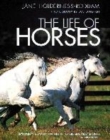 Image for The life of horses