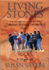 Image for Living Stones - Rocks Year C
