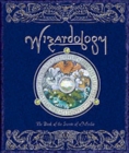 Image for Wizardology  : the book of the secrets of Merlin