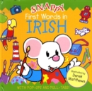Image for First words in Irish
