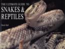 Image for The ultimate guide to snakes &amp; reptiles
