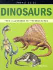 Image for Dinosaurs  : from allosaurus to tyrannosaurus