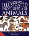 Image for The Marshall illustrated encyclopedia of animals
