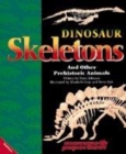 Image for Dinosaur skeletons and other prehistoric animals