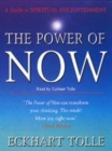 Image for The power of now