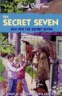 Image for Fun for the Secret Seven