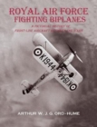 Image for Royal Air Force Fighting Biplanes