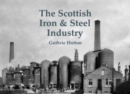 Image for The Scottish iron &amp; steel industry