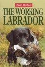 Image for The Working Labrador
