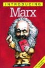Image for Introducing Marx