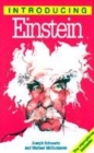 Image for Introducing Einstein