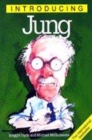 Image for Introducing Jung