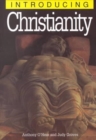 Image for Introducing Christianity