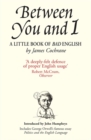 Image for Between you and I  : a little book of bad English