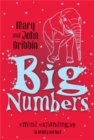 Image for Big Numbers