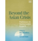Image for Beyond the Asian crisis  : pathways to sustainable growth