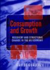 Image for Consumption and growth  : recovery and structural change in the US economy