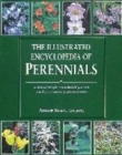Image for The illustrated encyclopedia of perennials  : a unique reference guide to more than 1500 plants with comprehensive descriptions and planting information