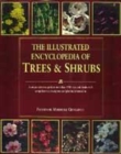 Image for The illustrated encyclopedia of trees &amp; shrubs