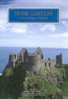 Image for Irish castles and historic houses