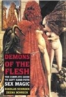 Image for Demons of the flesh  : the complete guide to left hand path sex magic